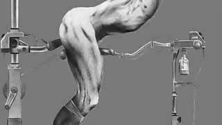 10258 cock porn videos